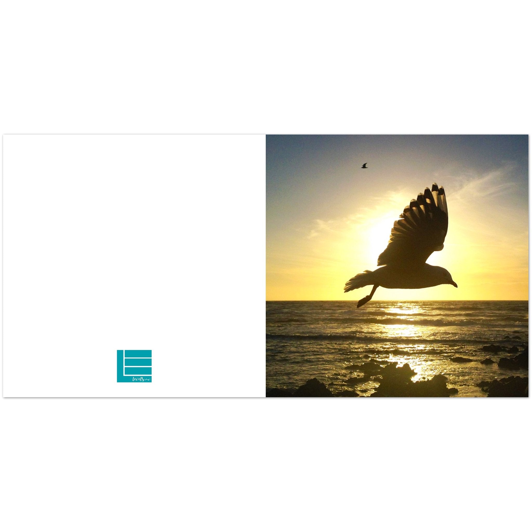 Seagull Greeting Card - Pack of 10 - Levels Creative Services